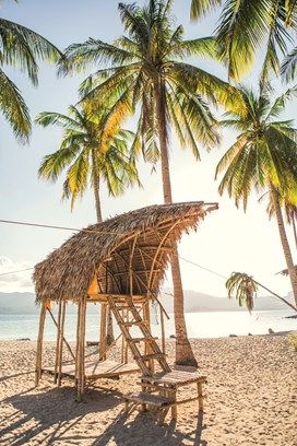 Coron island- Phillipines Birds Beak, Best Islands To Visit, Philippines Island, Philippines Palawan, Islands To Visit, Bamboo House Design, Tiny Island, Bamboo Structure, Bamboo Architecture