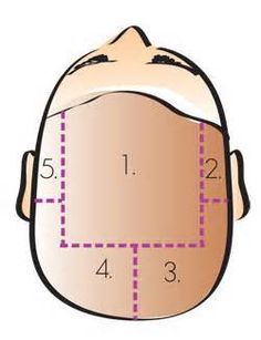 hair sectioning pattern diagram for multi-colored streaks - Google ... Hair Weaving Techniques, Foil Placement, Beauty School Cosmetology, Diy Highlights Hair, Hair Dye Techniques, Hair Sectioning, Hair Color Placement, Hair Foils, Hair Academy