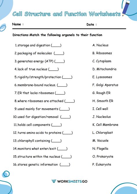 Cell Division Worksheet, Cell Structure And Function Notes, Cell Function And Structure, Cell Structure And Function Worksheet, What Is Biology, Cell Structure And Function, Plant Cell Diagram Labeled, Text Structure Worksheets, Cell Function