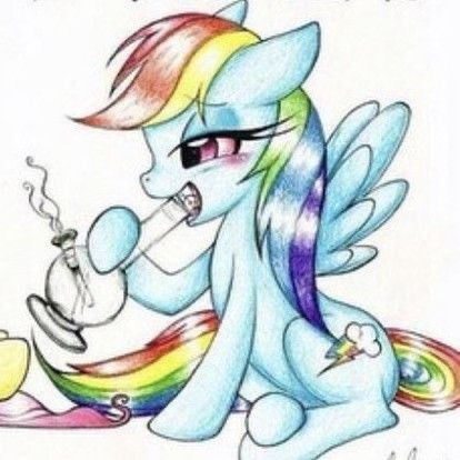 Scene Pfp, Shin Nana, My Lil Pony, Mlp Pony, Mlp My Little Pony, Silly Pictures, Matching Profile Pictures, Fluttershy, Twilight Sparkle