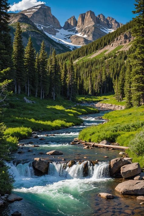 📸 Capture the Wild: Montana&#8217;s National Parks Photography Tours Montana Yellowstone, American Mountains, Montana Photography, Montane Forests, Prairie Photography, Montana Mountains Photography, Yellowstone National Park Photography, Montana Wildlife Photography, Montana Aesthetic