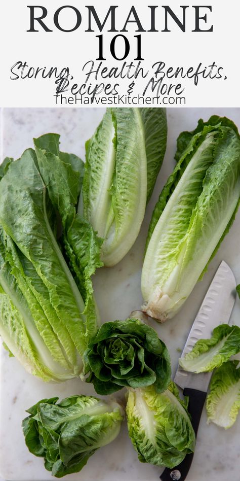 Romaine Lettuce Recipe, Lettuce Recipe, Romaine Hearts, Grilled Salmon Salad, Lettuce Salad Recipes, Lettuce Recipes, Wilted Lettuce, Quinoa Kale, Kale Quinoa Salad