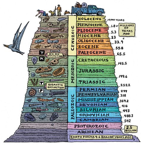 What are the periods of life on earth broken into? | Socratic Geologic Time Scale, History Of Earth, 10 Interesting Facts, Mind Blowing Facts, Geology Rocks, Life On Earth, Earth Science, History Facts, Planet Earth