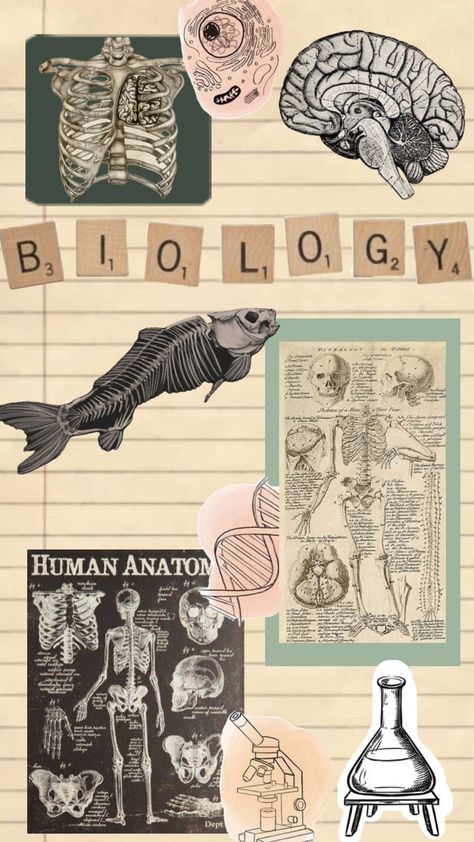 Notion Cover Aesthetic Biology, Biology Astethic Wallpaper, Biology Aesthetic Background Laptop, School Book Covers Aesthetic Biology, Biology Cover Page Design Aesthetic, Biology Art Draw, Wallpaper Biology, Biology Background, Biologi Aesthetic