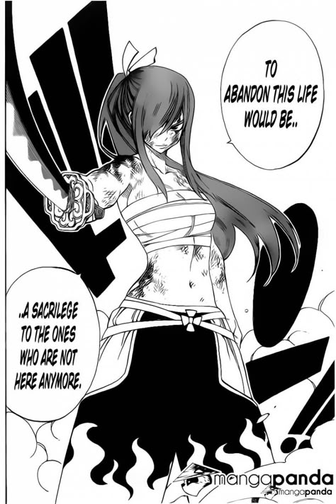 Erza Scarlett, Read Fairy Tail, Fairy Tail Erza Scarlet, Fairy Drawings, Fairy Tail Girls, Fairy Tail Guild, Fairy Tail Art, Fairy Tail Manga, Erza Scarlet