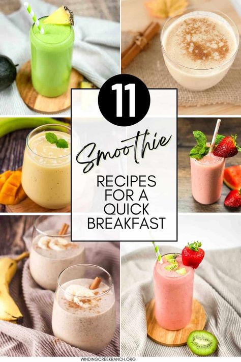 Kickstart your day with these 11 vibrant smoothie recipes! From tropical Mango Pineapple to refreshing Kiwi Quencher, these easy-to-make smoothies are full of flavor and nutrients. Perfect for busy mornings or a post-workout boost, and includes vegan options! Quick Healthy Smoothie Recipes, Day Of Healthy Eating, Quick Healthy Smoothies, Breakfast Drinks Healthy, Energy Breakfast, Easy Breakfast Smoothies, Banana Protein Smoothie, Best Healthy Smoothie Recipe, Nutritious Smoothie Recipes