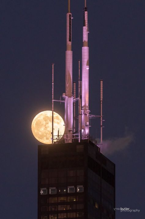 Sears Tower Chicago, Sears Tower, Weather News, Chicago Photos, My Kind Of Town, Chicago Photography, Strange Photos, Chicago Skyline, Chicago Style