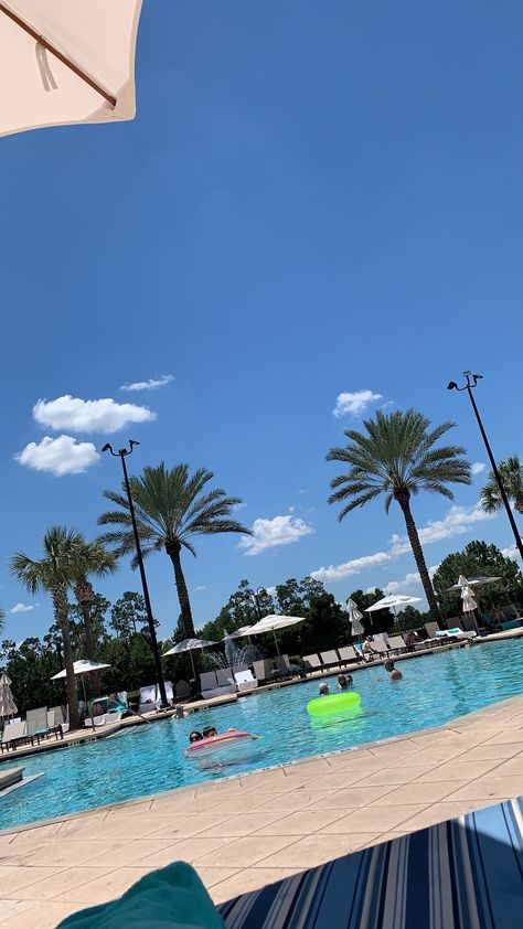 beach palm trees disney world pool swimming aesthetic vacation florida orlando Swimming Aesthetic, Orlando Florida Vacation, Beach In Florida, Beach Palm Trees, Orlando Beach, Vacation Florida, Aesthetic Vacation, Florida Orlando, Pool Swimming