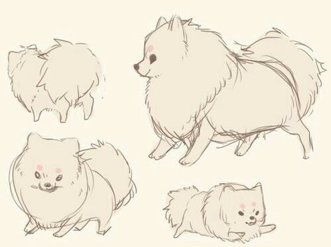 Dog Manga Drawing, Fluffy Animal Drawing, Pomeranian Character Design, Cute Dog Character Design, Pomeranian Fursona, Pomeranian Drawing Simple, Pomeranian Puppy Drawing, Anime Dog Drawing, Pomeranian Sketch