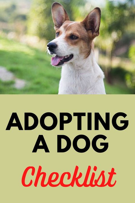 Adopting a Dog Checklist Dog Checklist, Dog Aggression, Adopting A Dog, Owning A Dog, Dog Behavior Problems, First Dog, Dog Obedience Training, List Of Questions, Dog Training Techniques