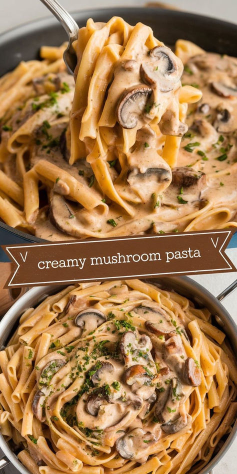 Easy Creamy Mushroom Pasta – This easy creamy mushroom pasta is perfect for a quick, delicious dinner! With tender pasta and a creamy mushroom sauce, it’s a cozy meal ready in 30 minutes. Pasta And Gravy Recipes, Mushroom Mozzarella Pasta, Creamy Balsamic Pasta Sauce, Red Wine Mushroom Pasta, Mushroom Soup Pasta Sauce, Baked Mushroom Pasta, Simple Mushroom Pasta, Lunch Ideas With Mushrooms, Creamy Pasta Ideas