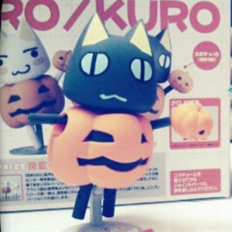 Toro And Kuro Match Pfp, Kuro Inoue, Kuro Cat, Toro And Kuro, Halloween Duos, Toro Inoue, Matching Costumes, Pumpkin Costume, Pete The Cat