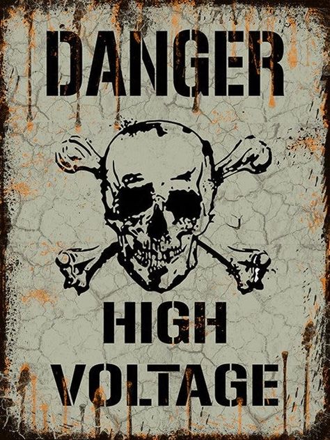 Danger High Voltage, Skull Crossbones, Retro Metal Signs, Rare Images, A Skull, Skull And Crossbones, High Voltage, Skull Art, Metal Wall Decor