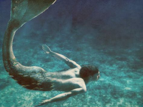 Merman X Human, Mermen Aesthetic, Mermaid Swim, Male Mermaid, Dark Mermaid, Mermaid Man, Siren Mermaid, Mermaid Pictures, Mermaid Aesthetic