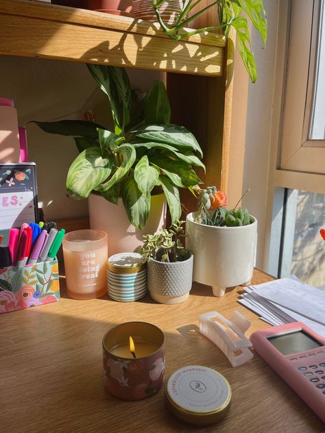 Wood desk with green plants and sunlight from a near by window Plants On Desk, Girl Rotting, Desk With Plants, Desk Organization Aesthetic, Dorm Plants, Dorm 2023, Dorm Desk Organization, Plant Desk, College Desk