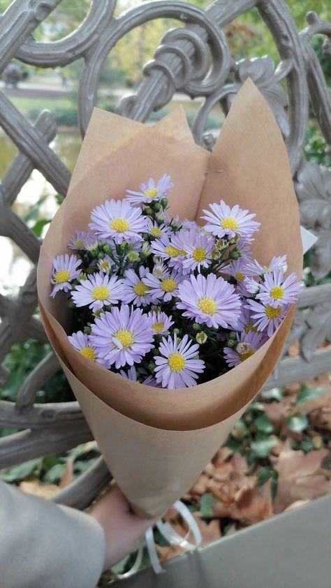 Bouquet bunch of purple flowers daisies Purple Bouquet Flowers, Purple Flower Bouquet, Disney High Schools, Flowers Daisies, Light Purple Flowers, Daisy Bouquet, Purple Bouquet, Purple Daisy, Daisy Flower