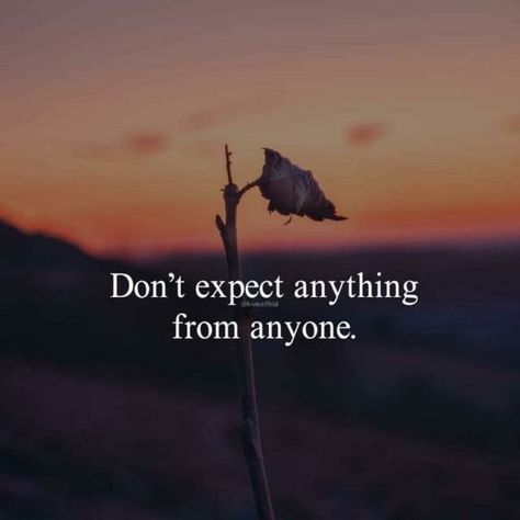 Dont Expect Anything From Anyone Quotes, Dont Expect Quotes, Never Expect Anything, Expectation Quotes, Dont Expect Too Much, Malayalam Quotes, Good Morning Friends Quotes, Good Morning Friends, English Quotes