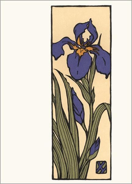 Iris Ink Drawing, Japanese Iris Painting, Iris Art Nouveau, Orchid Linocut, Art Nouveau Iris, Letterpress Notecards, Case Painting, Rebecca Green, Motifs Art Nouveau