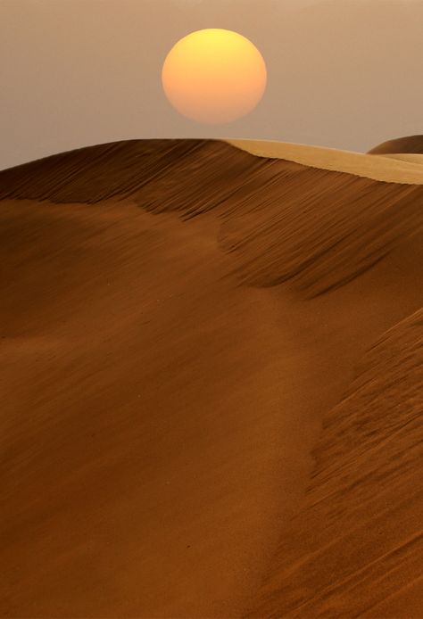 maghrib Deserts Of The World, Desert Dream, Sahara Desert, Desert Landscaping, In The Desert, Sand Dunes, Planet Earth, The Desert, Amazing Nature