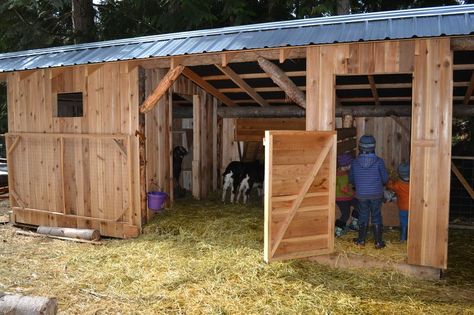 Small Animal Shed, Goat Playground, Feed Room, Goat Shed, Livestock Shelter, Goat Shelter, Goat Milking, Small Barns, Goat House