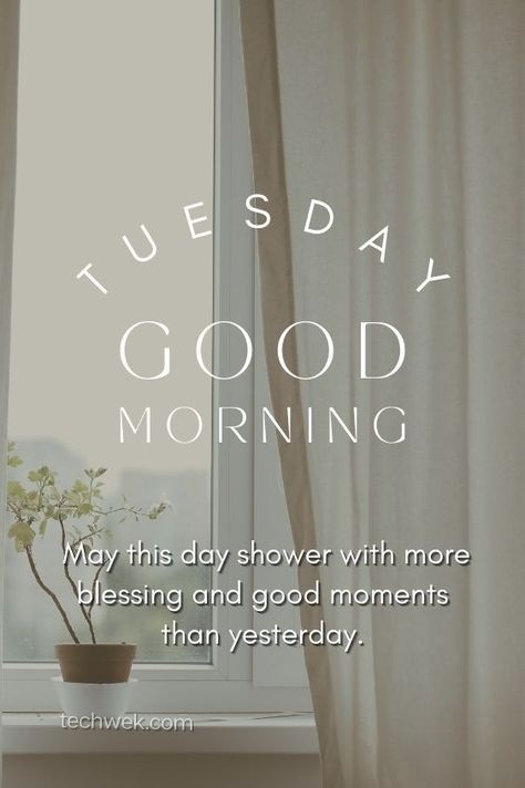 Monday Morning Blessing Inspirational Quotes, Tuesday Morning Wishes, Morning Tuesday Images, Good Wishes Quotes, Hump Day Quotes, Monday Morning Blessing, Good Morning Tuesday Images, Happy Tuesday Morning, Tuesday Images