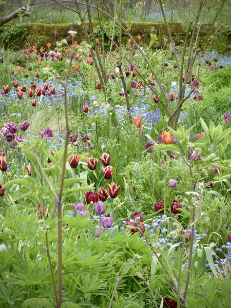 Garden Visit: 9 Ideas to Steal from the Bravura Planting at Gravetye Manor in Sussex - Gardenista Gravetye Manor, Beautiful Gardens Landscape, Planting Combinations, Naturalistic Garden, Manor Garden, Garden Makeover, Garden Bulbs, Flower Gardens, Formal Gardens