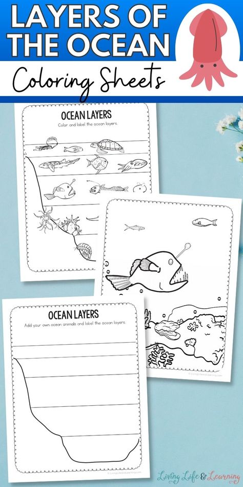 Discover the amazing depths and mysteries hidden beneath the waves as your little ones unleash their creativity and learn about the different layers of the ocean - all while having a blast coloring with these Layers of the Ocean Coloring Sheets! Add these to your homeschool ocean activities now! Ocean Zones Activities, Ocean Layers Craft, Ocean Zones Printable, Layers Of The Ocean Craft, Layers Of The Ocean Printable, Ocean Zones Preschool, Ocean Layers Activity, Aquarium Scavenger Hunt Printable Free, Layers Of The Ocean Activities For Kids