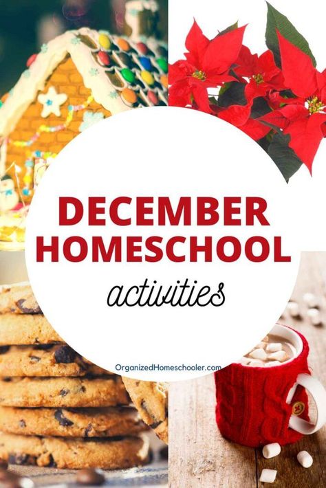 December Enrichment Activities, Month Of December Activities, December Homeschool, Silly Holidays, December Lessons, Homeschool Holidays, National Cookie Day, Homeschool Lessons, Cult Of Pedagogy