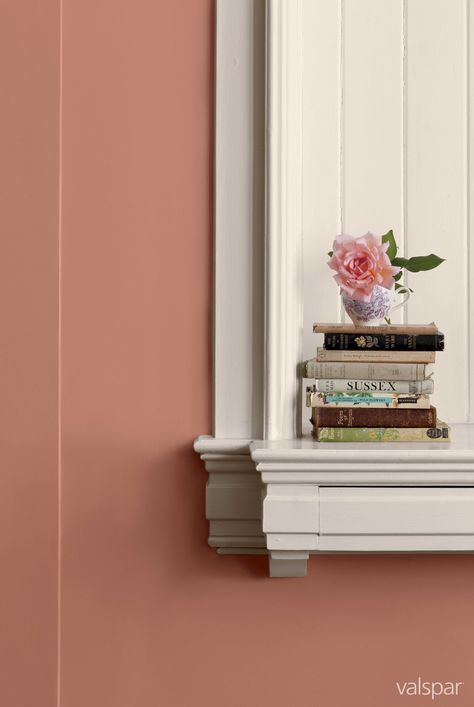 A lovely #coral shade from #Valspar. This one is called Coral Curry. Coral Paint Colors, Coral Living Rooms, Coral Kitchen, Lodge Bathroom, Accent Paint, Coral Room, Valspar Paint Colors, Valspar Colors, Tudor Court