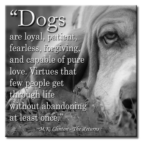 "Dogs are loyal, patient, fearless, forgiving, and capable of pure love.  Virtues that few people get through life without abandoning at least once."  M. K. Clinton ~ The Returns *Available on #Amazon. Dog Walking Quotes, Doggie Quotes, Quotes About Dogs, Animal Sayings, Texas Tornado, Dog Poetry, Walking Quotes, Animal Poems, Animal Signs