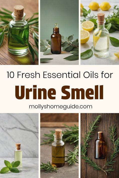 Discover the power of essential oils for urine smell and pet odor with this DIY pet odor remover. Learn how to remove cat pee smell permanently using all natural pet urine odor removal methods. Say goodbye to dog urine odor and cat smells by using essential oils for cat urine odor effectively. Find out how to clean carpet with essential oils and make your own natural carpet cleaner spray. Eliminate urine smell in the bathroom effortlessly by following these tips to get rid of cat urine smell nat Essential Oils For Pet Odor Urine Smells, Essential Oils For Dogs Odor, How To Get Rid Of Cat Urine Smell, Natural Carpet Cleaner, Dog Urine Odor Remover, Odor Eliminator Diy, Remove Cat Urine Smell, Remove Urine Smell, Pet Urine Smell