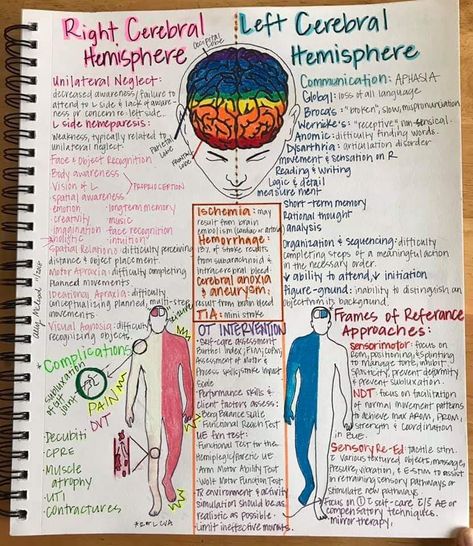 Occupational Therapy Neuro Rehab, Neuro Occupational Therapy, Occupational Therapy Study Notes, Physical Therapy Student Notes, Occupational Therapy Acute Care, Occupational Therapy Inpatient Rehab, Physical Therapy Notes, Occupational Therapy For Adults, Occupational Therapy Activities For Adults