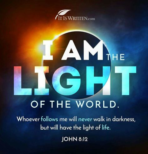 John 8:12 Geneva Bible, I Am The Light, John 8 12, Protestant Reformation, Love Truths, Bible Motivation, Light Of Life, Light Of The World, Bible Words