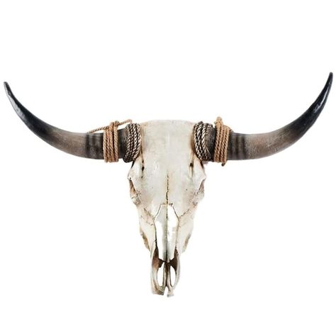 PRICES MAY VARY. ☀ Long Horns Cow Skull Wall Decor: Authentic skulls and highest quality carvings. We hand select each skull and work directly with talented artisans with years of specialized training to ensure your longhorn skull wall decor is an incomparable piece of decor ☀ Handicrafts & Animal Protection: Looking for an exotic wall decor to add flavor to your room? Look no further with this high quality wall plaque!!! It is not a real steer skull so no cow was hurt during its production! ☀ U Cowhide On Wall Ideas, Cow Horns Decor, Longhorn Skull Decor, Decor Above Tv, Cow Skull Wall Decor, Cow Skull Decor, Cow Skull Art, Skull Hanging, Long Horns