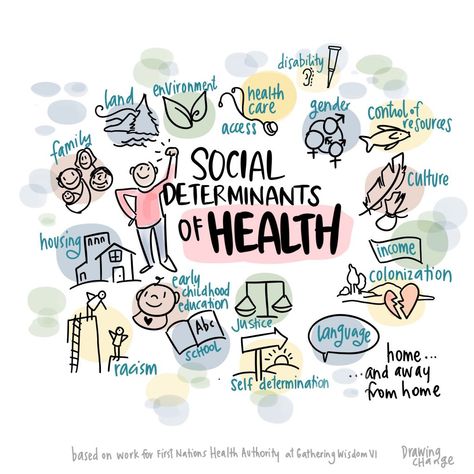 Indigenous social determinants of health at GWVI Social Drawing, Health Drawing, Social Health, Drawing Men, Science Clipart, Graphic Recording, Health Pictures, Social Studies Teacher, Eyes Drawing