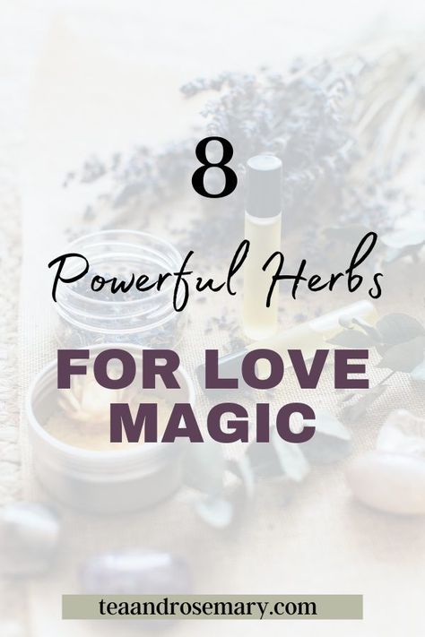 Herbs Meanings, Herbs For Love, Herb Meanings, Herbs For Witchcraft, Money Education, Green Witchcraft, Dna Code, Lavender Rosemary, Wealth Dna Code