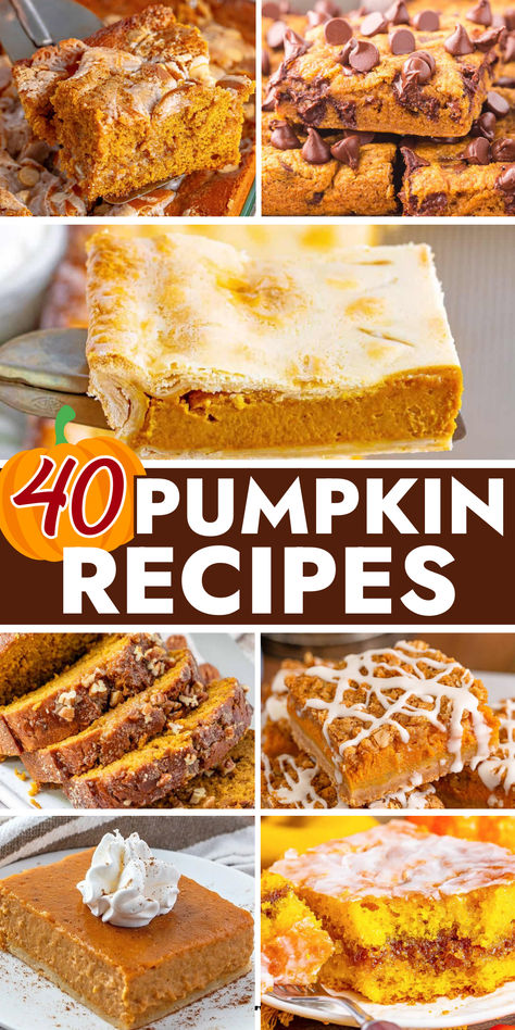 From pumpkin pie to pumpkin bread to pumpkin rolls, there are plenty of scrumptious pumpkin recipes to choose from on this list of the best pumpkin recipes! Pumpkin Roll Dessert, Libbys Pumpkin Pie Mix Recipes, Pumpkin Recipes Using Fresh Pumpkin, Recipes For Canned Pumpkin, Extra Pumpkin Pie Filling Recipes, Pumpkin Chocolate Recipes, Recipes For Pumpkin, Homemade Pumpkin Desserts, Libby’s Pumpkin Pie Mix Recipes