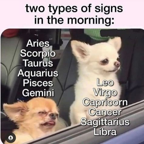 Zodiac Signs Pictures, Aquarius Truths, Zodiac Signs Chart, Zodiac Funny, Zodiac Signs Pisces, Zodiac Sign Traits, Aquarius Pisces, Zodiac Signs Aquarius, Zodiac Signs Horoscope