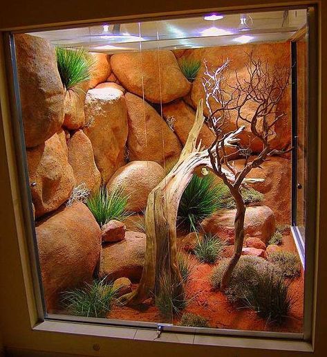 Diy Desert, Desert Terrarium, Bearded Dragon Vivarium, Bearded Dragon Terrarium Ideas, Terrarium Background, Bearded Dragon Diy, Diy Reptile, Bearded Dragon Terrarium, Bearded Dragon Enclosure