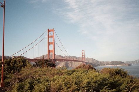 Golden Gate Bridge Wallpaper, Bridge Wallpaper, Life On Film, Film Photography 35mm, Camera Film, Disposable Camera, Film Photos, Film Inspiration, San Fran