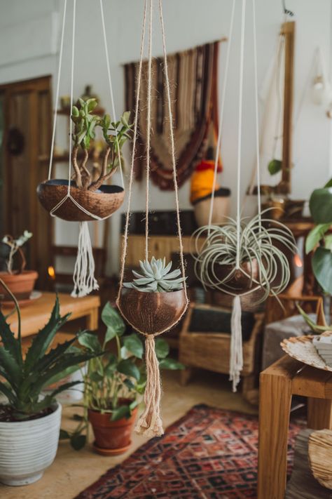 Rustic hanging planters made from coconut shells in a bright corner. Hanging Plant Ideas, Hanging Plants Ideas, Hanging Plant Wall, Planter Design, Unique Planter, Plant Ideas, Hanging Plant, Plant Hangers, Different Plants