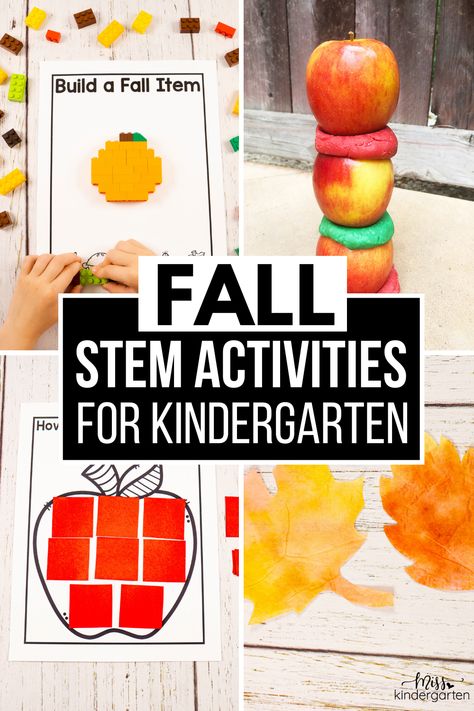 These hands-on and engaging STEM activities for fall will help your students practice problem-solving and critical thinking skills. Use these fall STEM activities for kindergarten for some seasonal fun in your classroom! Click here to take a closer look at these fall STEM challenges for kindergarten. Stem Activities For Kindergarten, Easy Stem Activities Elementary, Kindergarten Stem Activities, Kindergarten Stem Challenges, Fall Stem Activities, Stem Activities Kindergarten, Stem Activities For Kids, Kindergarten Stem, Stem Activities Preschool