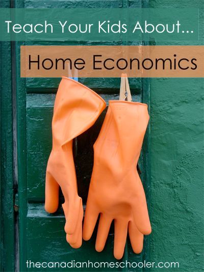 Home Economics Classroom Ideas, Home Economics Lessons For Middle School, Home Economics For Kids, Home Economics Lessons High Schools, Home Economics Lessons, Homeschool Home Economics, Economics Lessons High School, Middle School Economics, Home Economics Classroom