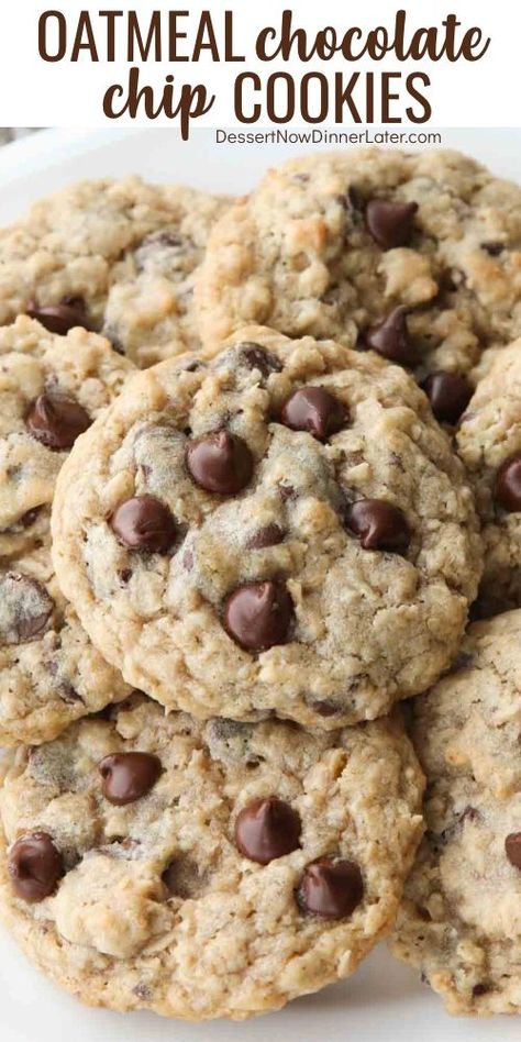 Oatmeal Chocolate Chip Cookie Recipe, Biscuits Diététiques, Oatmeal Cookies Chewy, Oatmeal Chocolate Chip, Oatmeal Chocolate, Oatmeal Cookie Recipes, Chocolate Cookie Recipes, Chip Cookie Recipe, Oatmeal Chocolate Chip Cookies