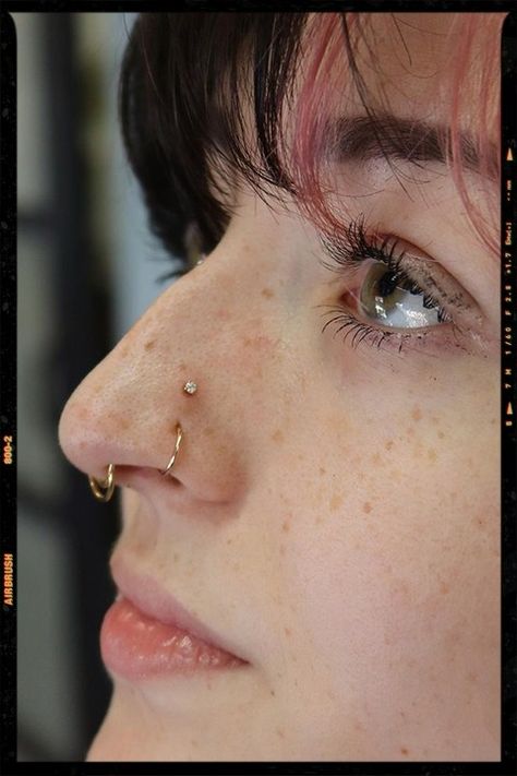 Double Nose Piercing + Septum piercing Nose Piercing On A Big Nose, Long Nose Septum Piercing, Nose Piercing On Crooked Nose, Interesting Nose Piercings, Nose Piercing For Nose Types, Paired High Nostrils, Septum Piercing On Long Nose, Four Nose Piercings, Double Nose Piercing Big Nose