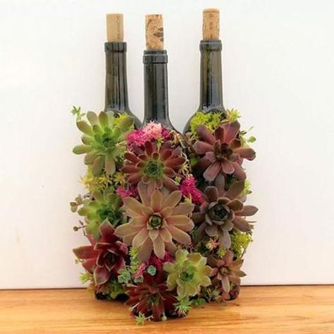 Wine Bottle Succulent Planter | Reuse Wine Bottles - 10 Ways to Upcycle Your Old Bottles Wine Bottle Flowers, Wine Bottle Garden, Wine Bottle Planter, Diy Wine Bottle, Diy Planters Outdoor, Cactus Terrarium, Succulent Planter Diy, Old Wine Bottles, Gardens Ideas