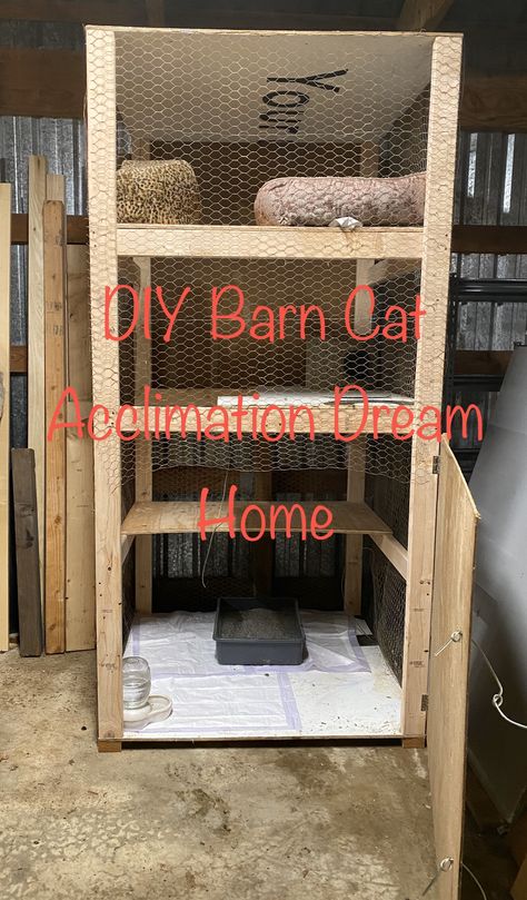 DIY Large acclimation cat condo home for 5+ working barn feral cats. Feral Cat Feeding Station Diy, Barn Cat House, Barn Cat Shelter, Cat Feeding Station, Barn Cat, Pet Room, House Pets, Dream Pet, Cat House Diy