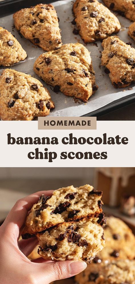 These banana chocolate chip scones are never dry thanks to the mashed banana in them. They're an extra decadent breakfast or snack with the melty chocolate chips sprinkled throughout. #scones #chocolatechip #bananascones | teakandthyme.com Banana Chocolate Chip Scones, Chocolate Chip Scones Recipe Easy, Banana Scones Recipe, Banana Chips Recipe, Decadent Breakfast, Banana Scones, Dried Banana Chips, Chocolate Chip Scones, Banana Chocolate Chip Cookies