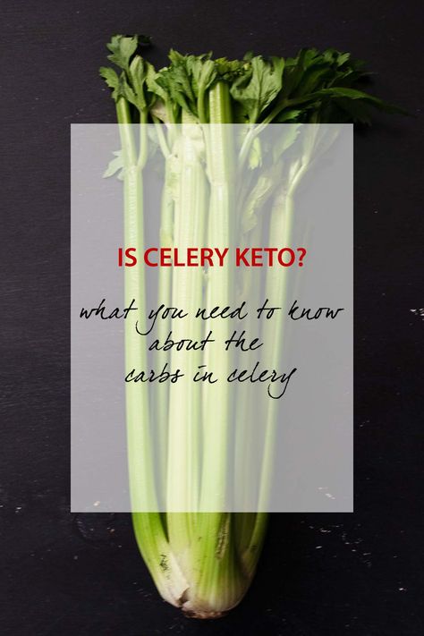 Is Celery Keto? Let's Dish About the Carbs in Celery. - The Keto Queens Keto Celery, Keto Carbs, Celery Recipes, What Can I Eat, Best Fat Burning Foods, 140 Pounds, Nutrition Guide, My Career, Good Health Tips