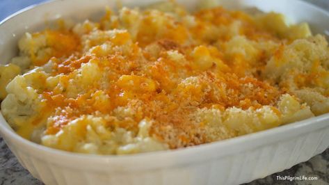 Creamy Cauliflower Au Gratin in the Instant Pot - This Pilgrim Life Instant Pot Cauliflower, Cauliflower Au Gratin, Pilgrim Life, Pressure Cooking Today, Fettuccine Alfredo Recipes, Creamy Cauliflower, Alfredo Recipe, Cooking Light, Cauliflower Recipes